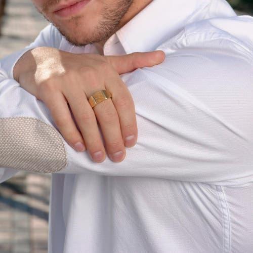 LuvMyJewelry Wood Jasper Sterling Silver Men Signet Ring in 14Kt Gold Vermeil On Sterling at Nordstrom, Size 9.5 Product Image
