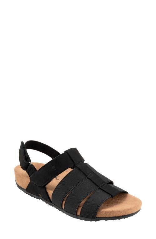 SoftWalk Burnaby (Navy Nubuck) Women's Sandals Product Image