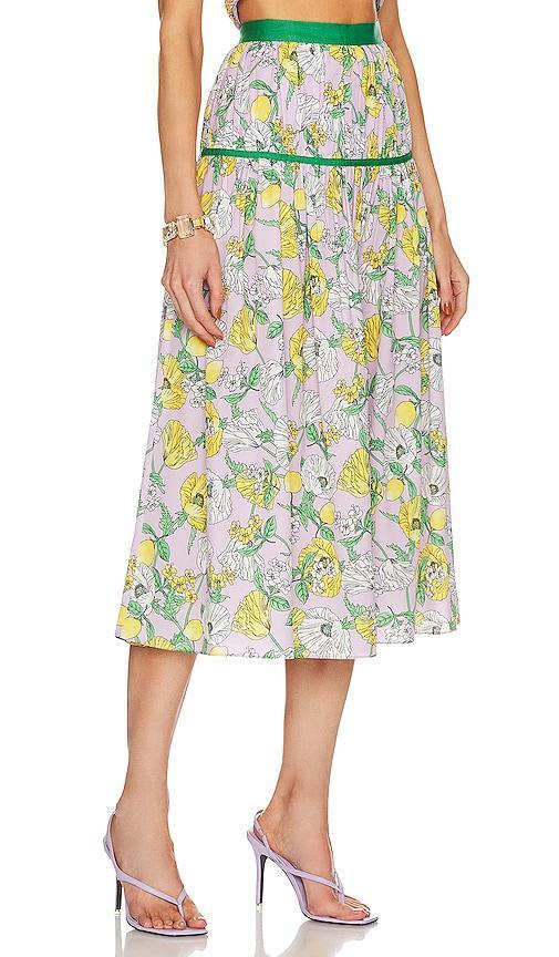 Levon Midi Skirt AMUR Product Image