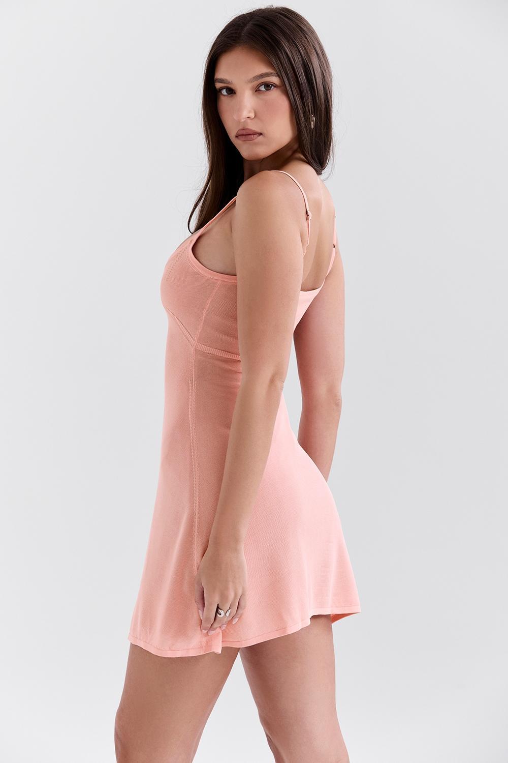 Lorenza  primrose sheer knit mini dress - sale Product Image