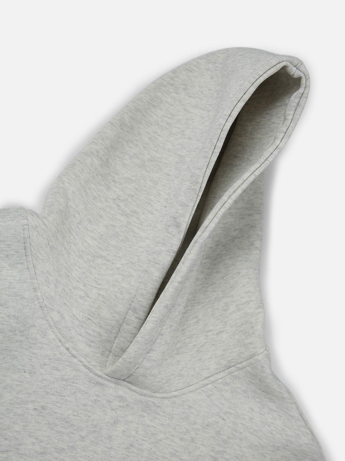Aelfric Eden Solid Boxy Pullover Hoodie Product Image