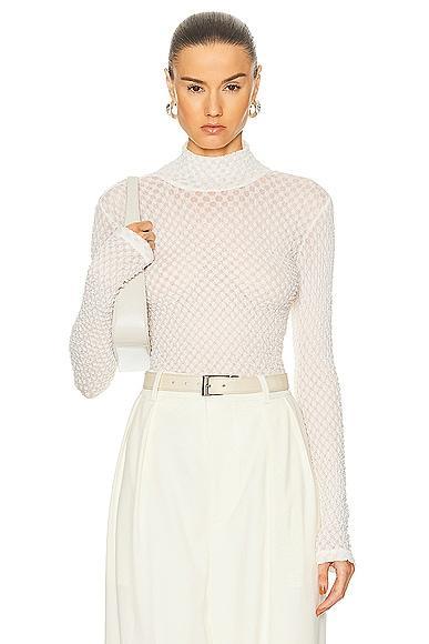 Frame Mesh Lace Turtleneck Top Product Image