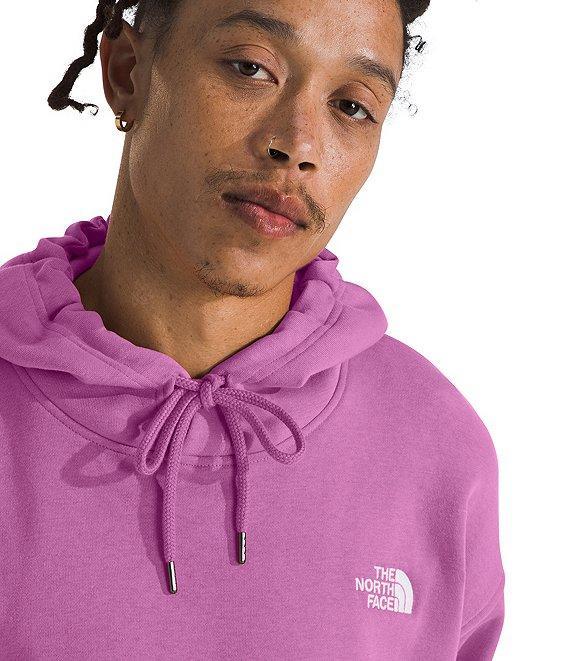 The North Face Evolution Vintage Oversize Hoodie Product Image