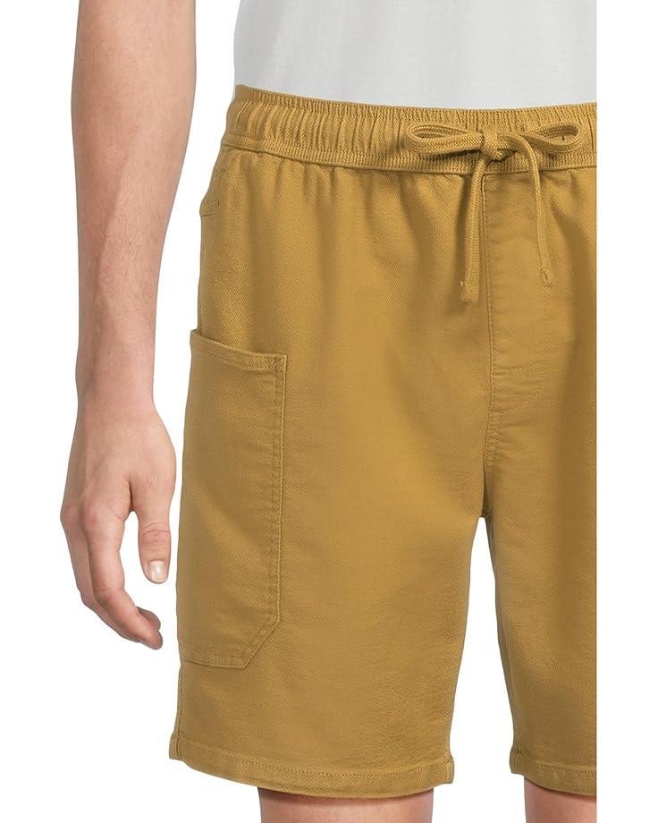 Stretch Zion Shorts Product Image