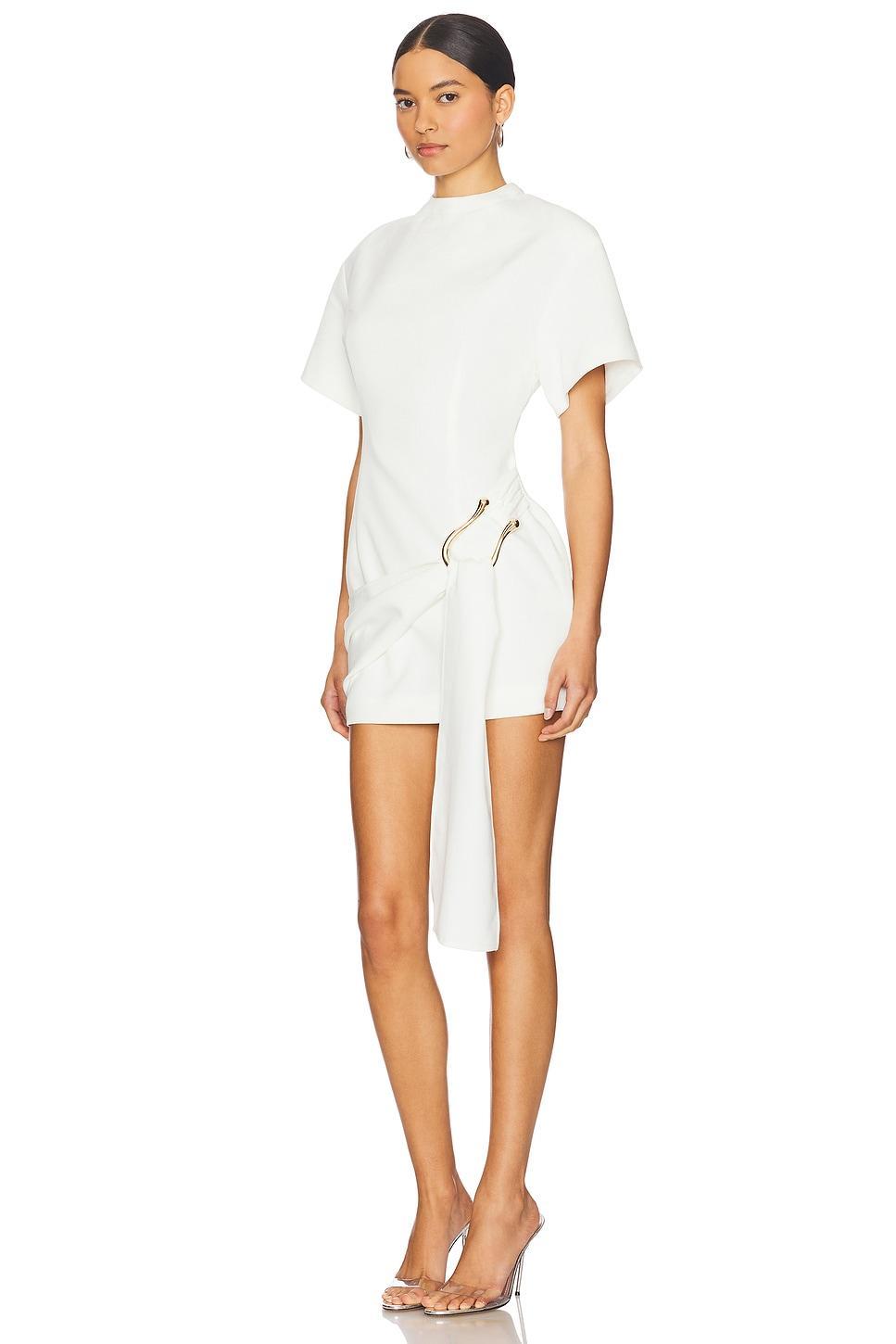 Martini Mini Dress LIONESS Product Image
