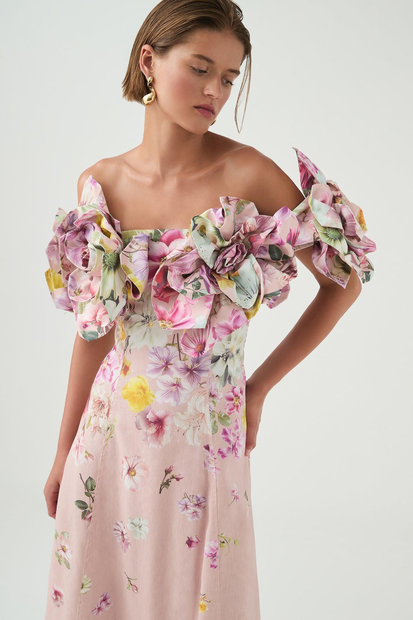 Misha Maxi Dress Product Image