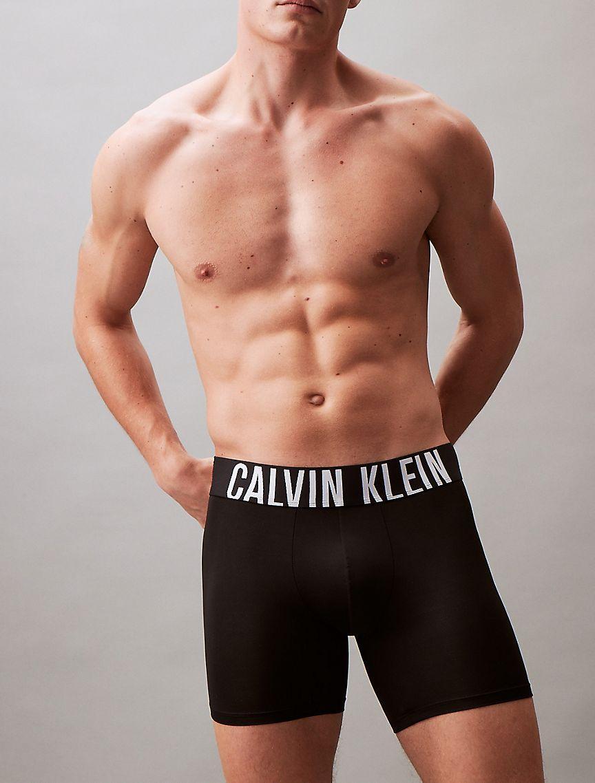 Intense Power Micro 3-Pack Boxer Brief Product Image