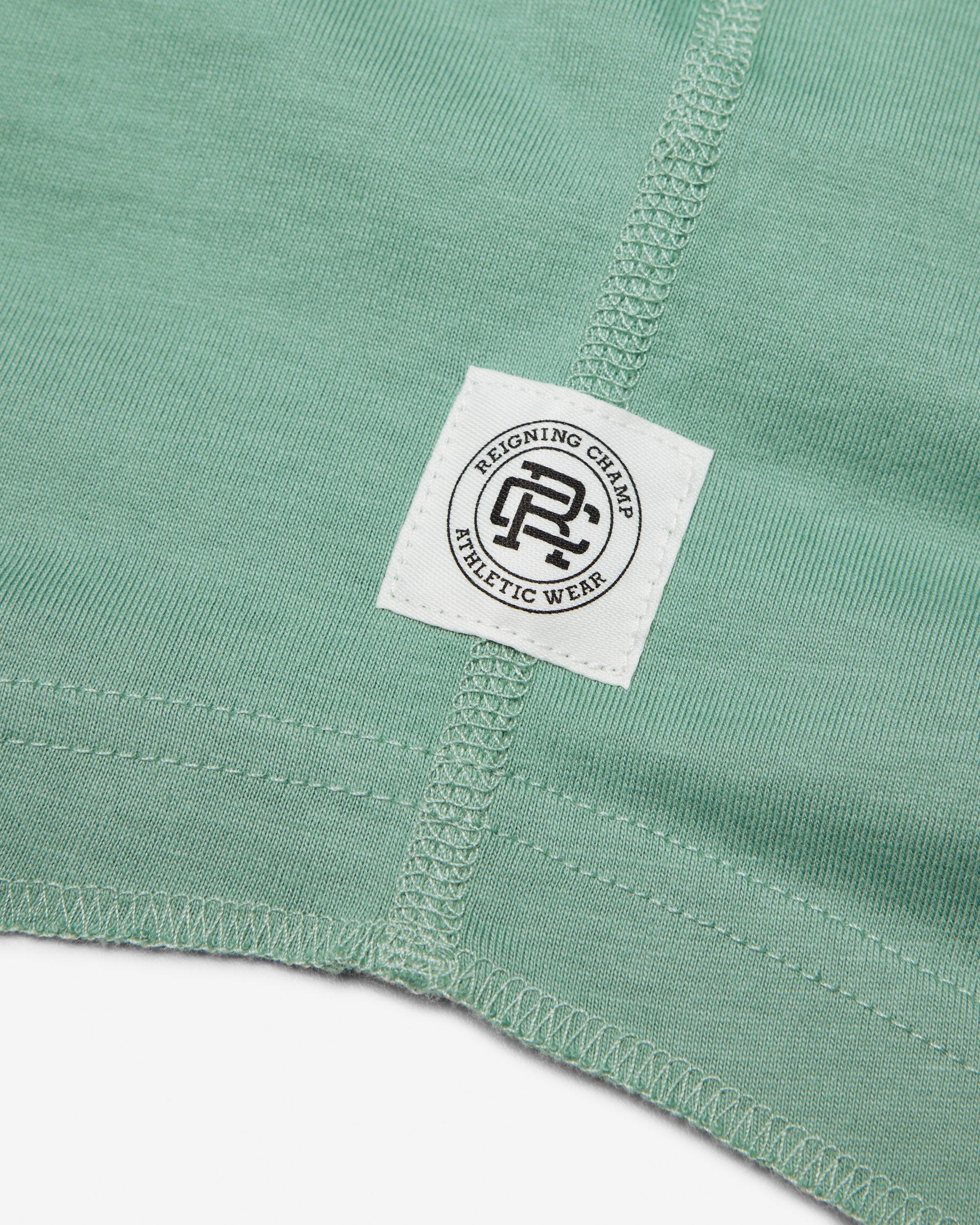 Lightweight Jersey Standard Raglan T-Shirt Male Product Image