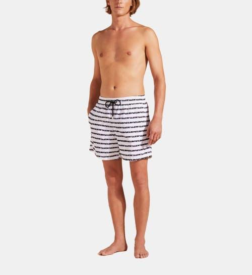Mens Striped Turtle Swim Shorts Product Image