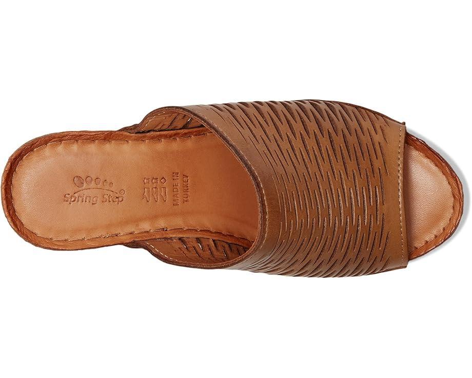Spring Step Product Image