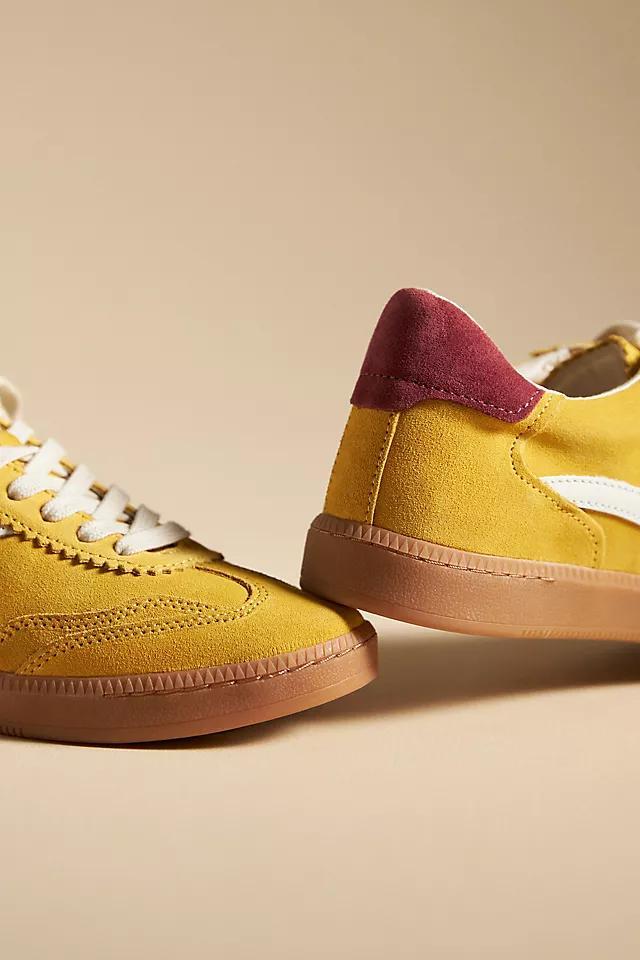 Dolce Vita Notice Sneakers Product Image