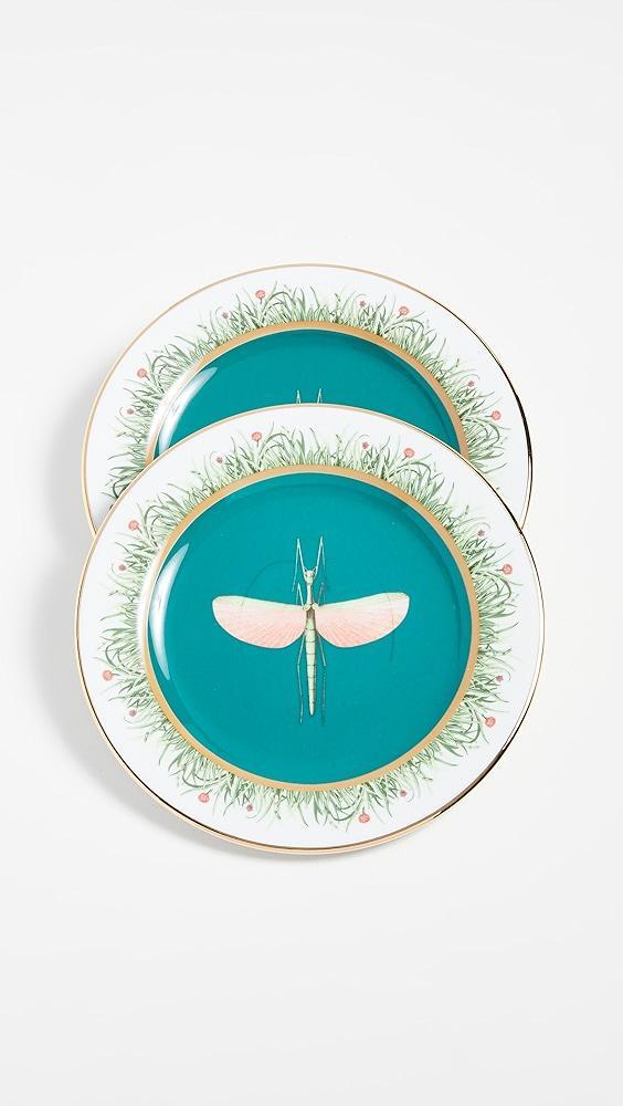 La DoubleJ Dessert Plates Set of 2 | Shopbop Product Image
