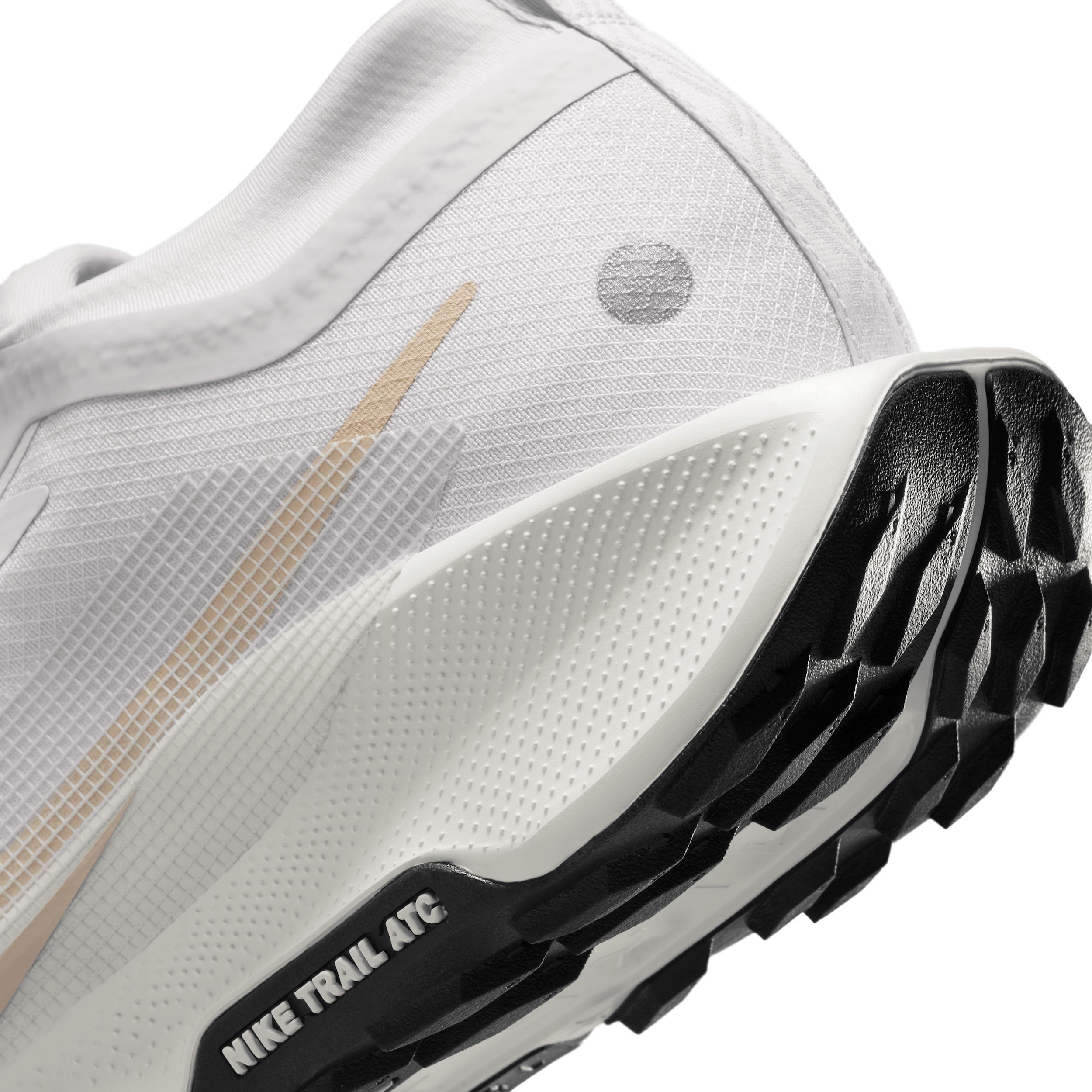 Nike Men's Pegasus Trail 5 GORE-TEX Waterproof Trail Running Shoes Product Image