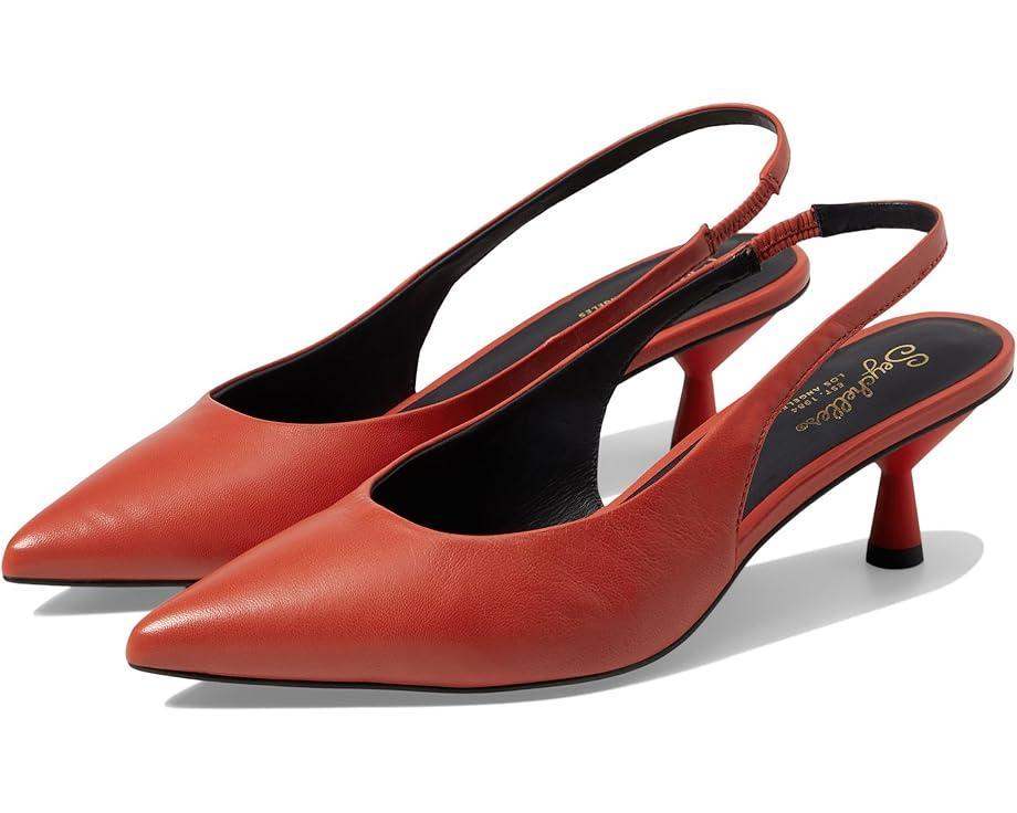 Dainty Product Image