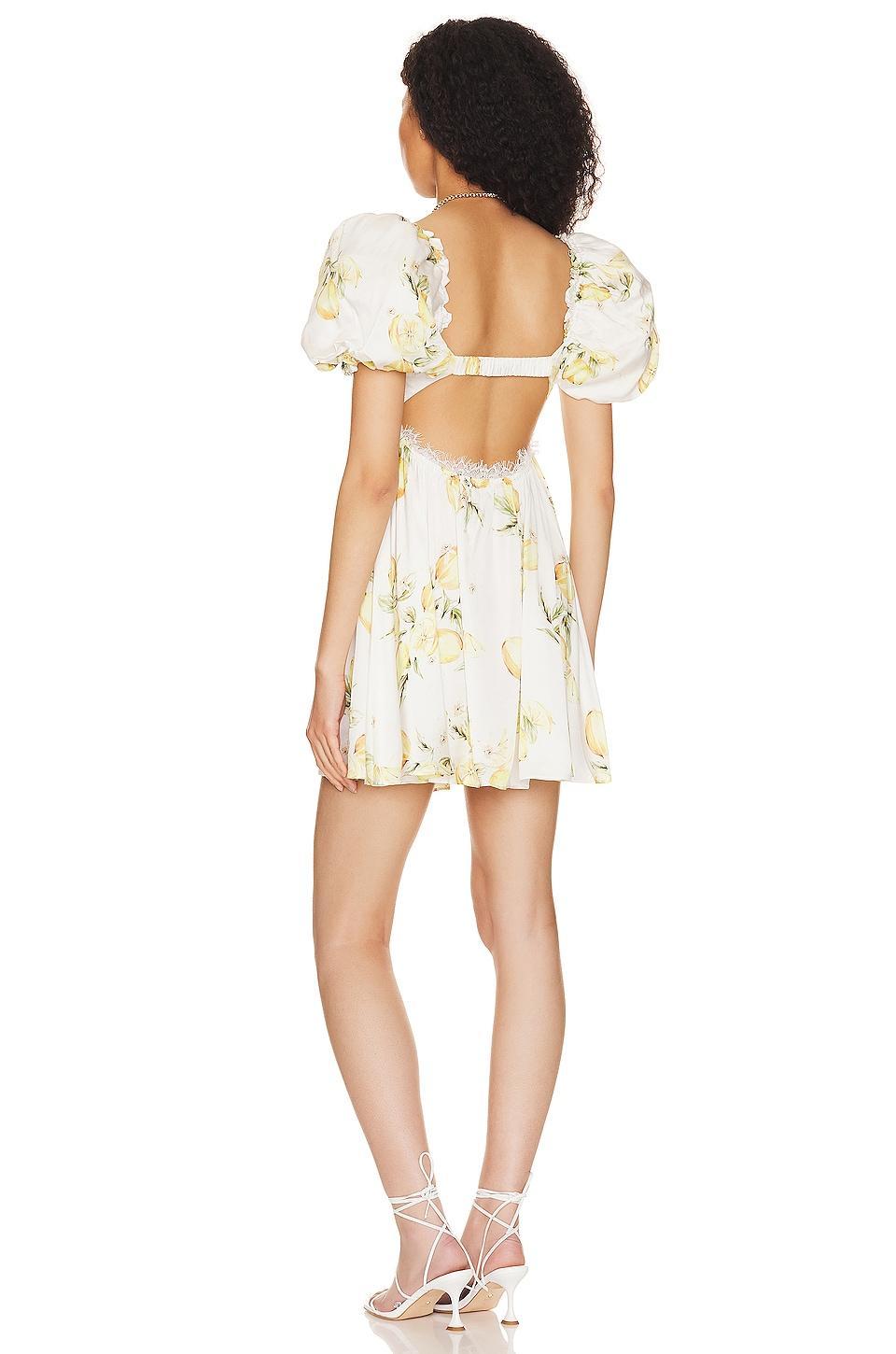 Candice Mini Dress For Love & Lemons Product Image