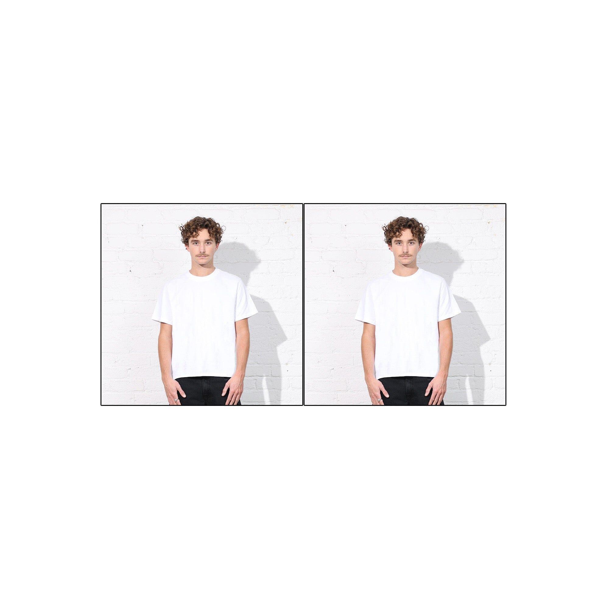 The Silverlake Crop Tee II Product Image