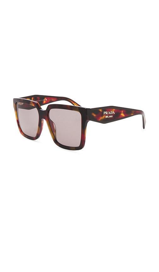 PRADA Square Sunglasses In Brown Product Image