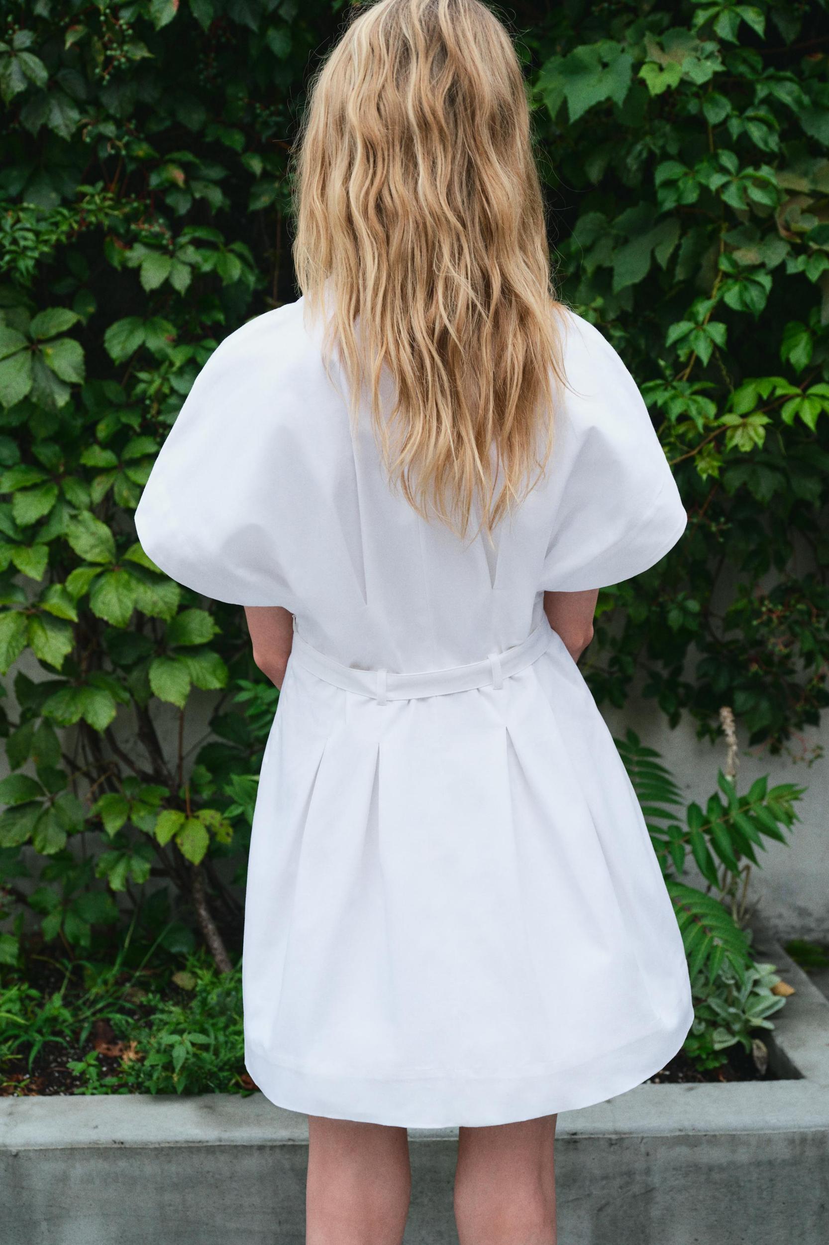 BELTED SHORT DRESS ZW COLLECTION Product Image