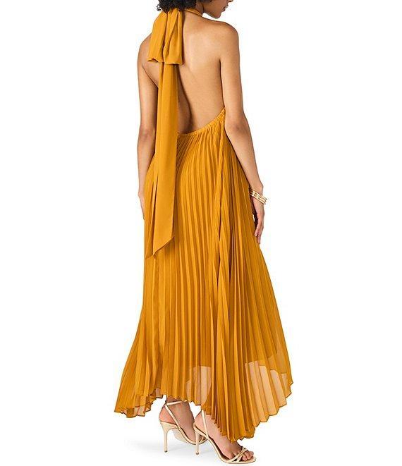Steve Madden Maraya Woven Mesh Halter V-Neck Open Back Pleated Maxi Dress Product Image