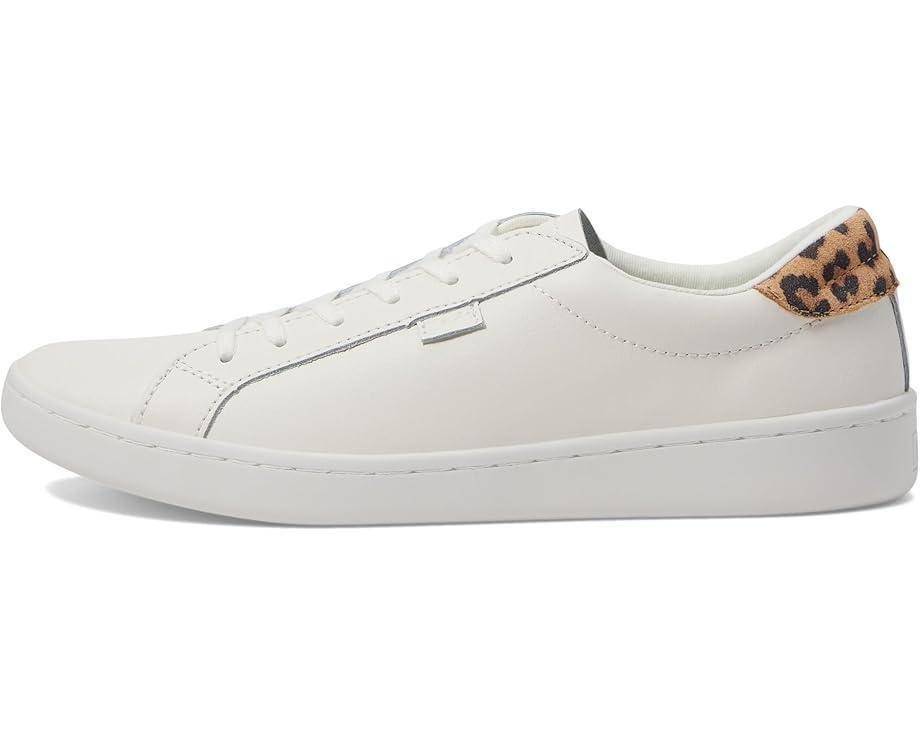 Pursuit Lace Up Product Image