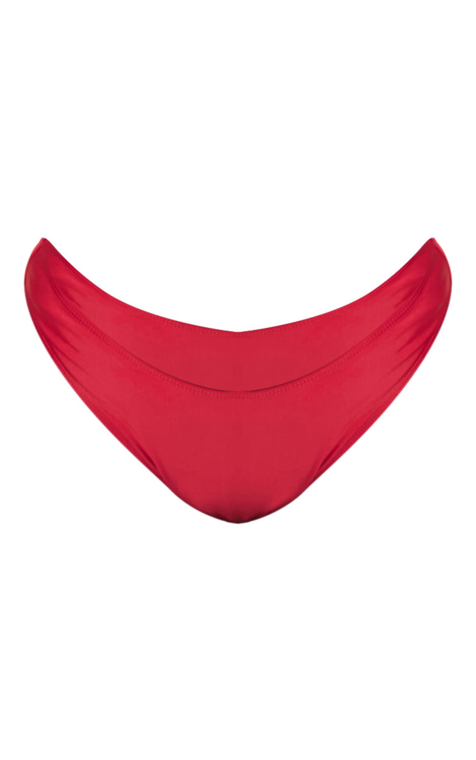Plus Burgundy Tanga Bikini Bottoms Product Image
