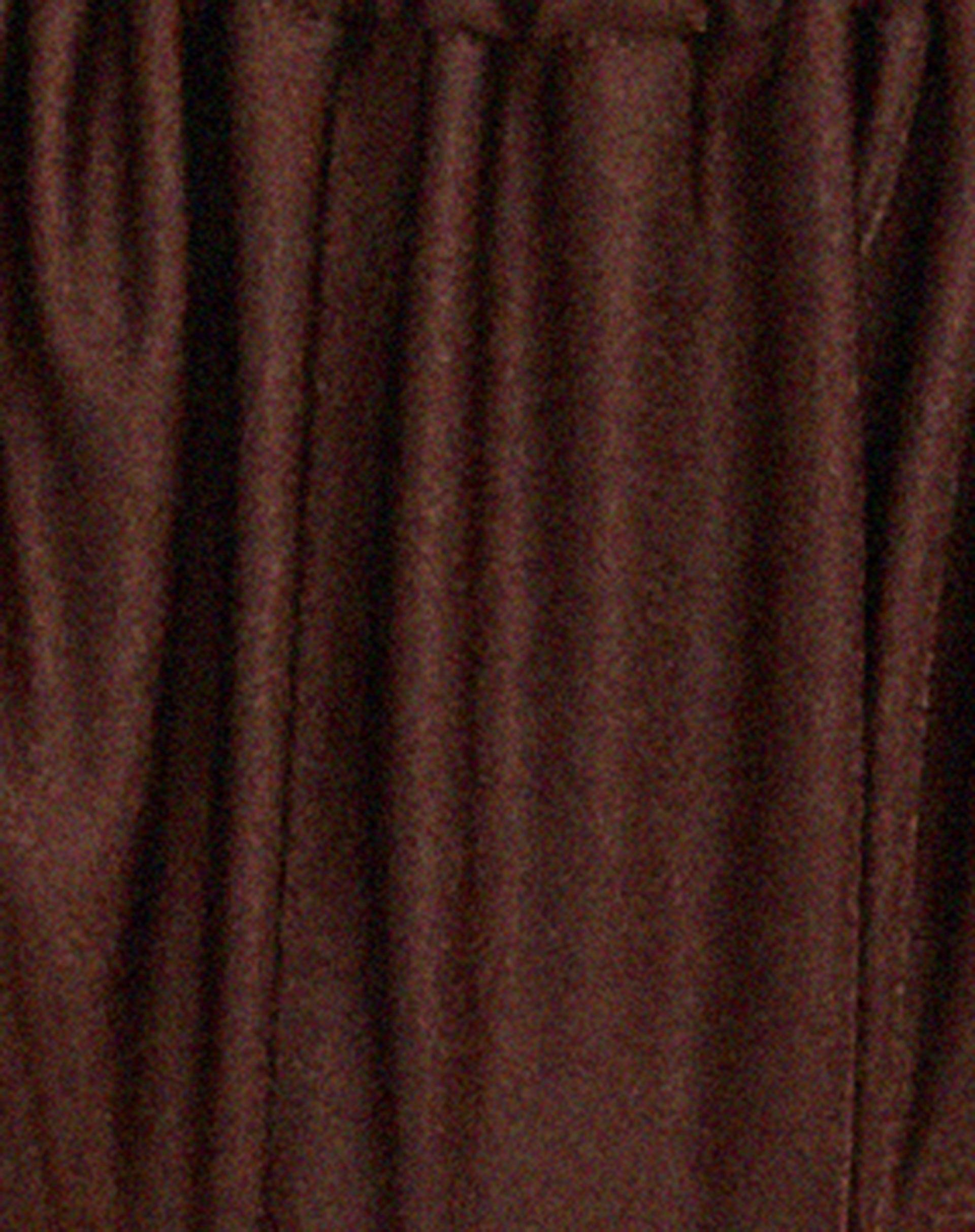Leyna Bikini Bottom in Shimmer Brown Product Image