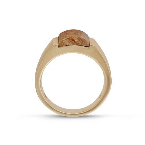 LuvMyJewelry Wood Jasper Sterling Silver Men Signet Ring in 14Kt Gold Vermeil On Sterling at Nordstrom, Size 9.5 Product Image