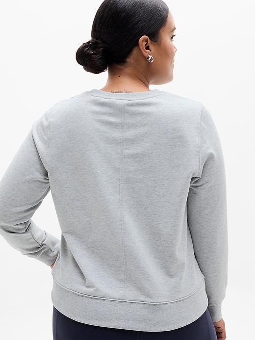Retroterry Crewneck Sweatshirt Product Image