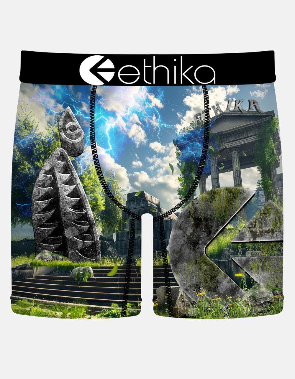 ETHIKA Greek Mid Mens Boxer Briefs - MULTI Product Image