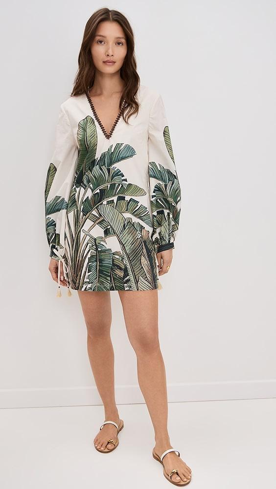 Andres Otalora Coqueta Soy Dress | Shopbop Product Image