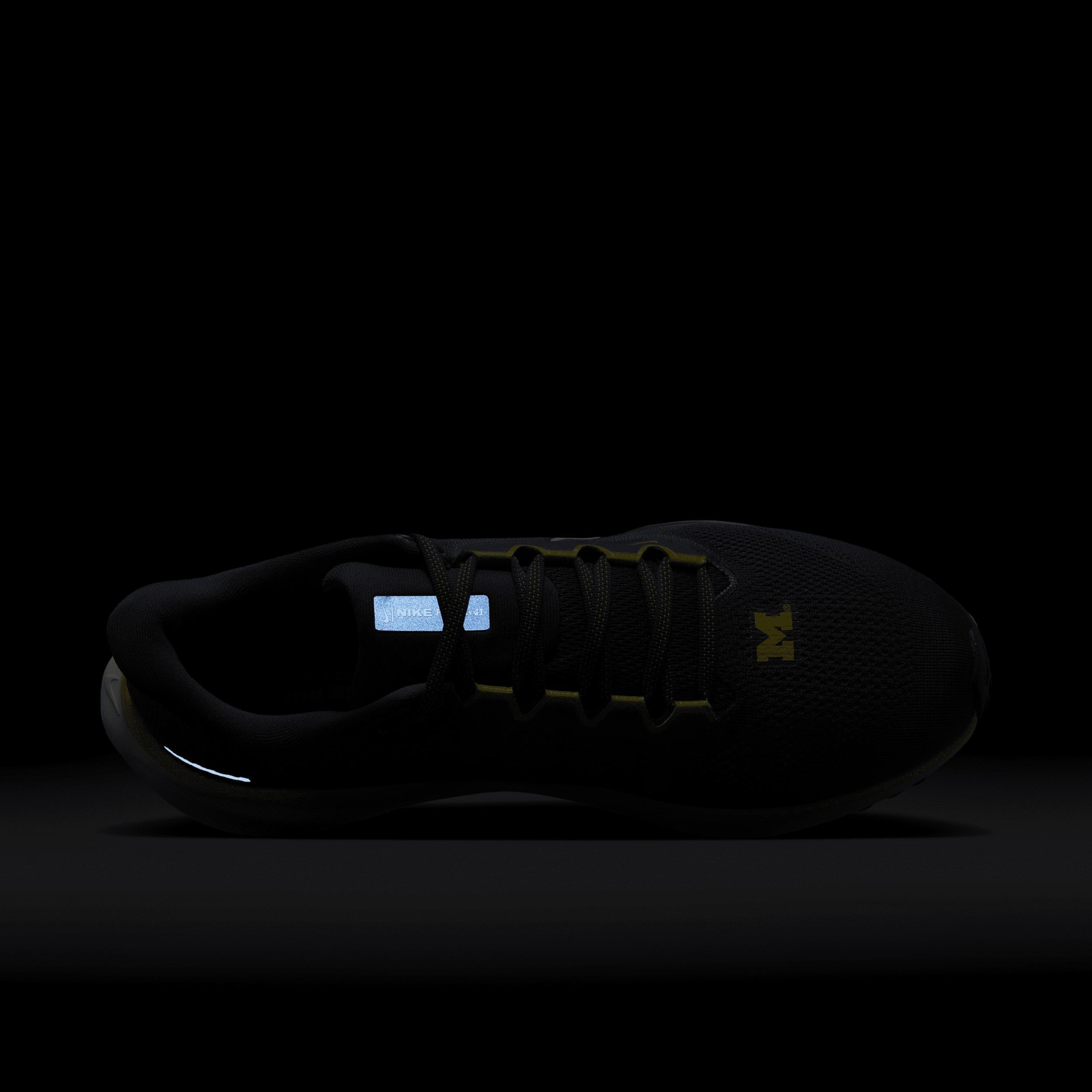 Michigan Pegasus 41 Nike Men's College Road Running Shoes Product Image