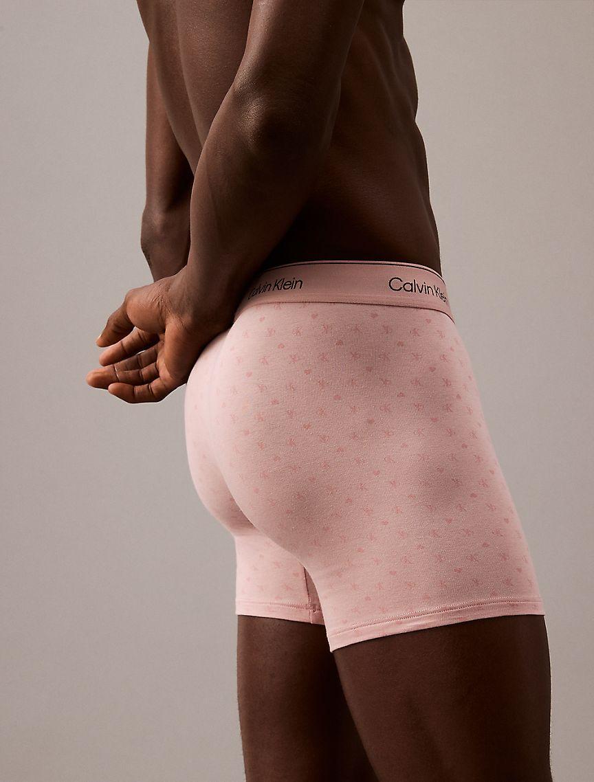Icon Cotton Stretch V-Day Boxer Brief Product Image