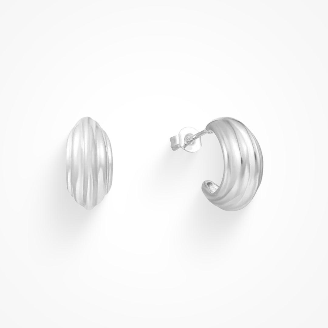 Heart and Soul Earrings Product Image