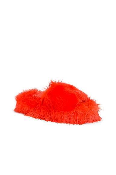 Bottega Veneta Shearling Resort Slides in Tangerine Product Image