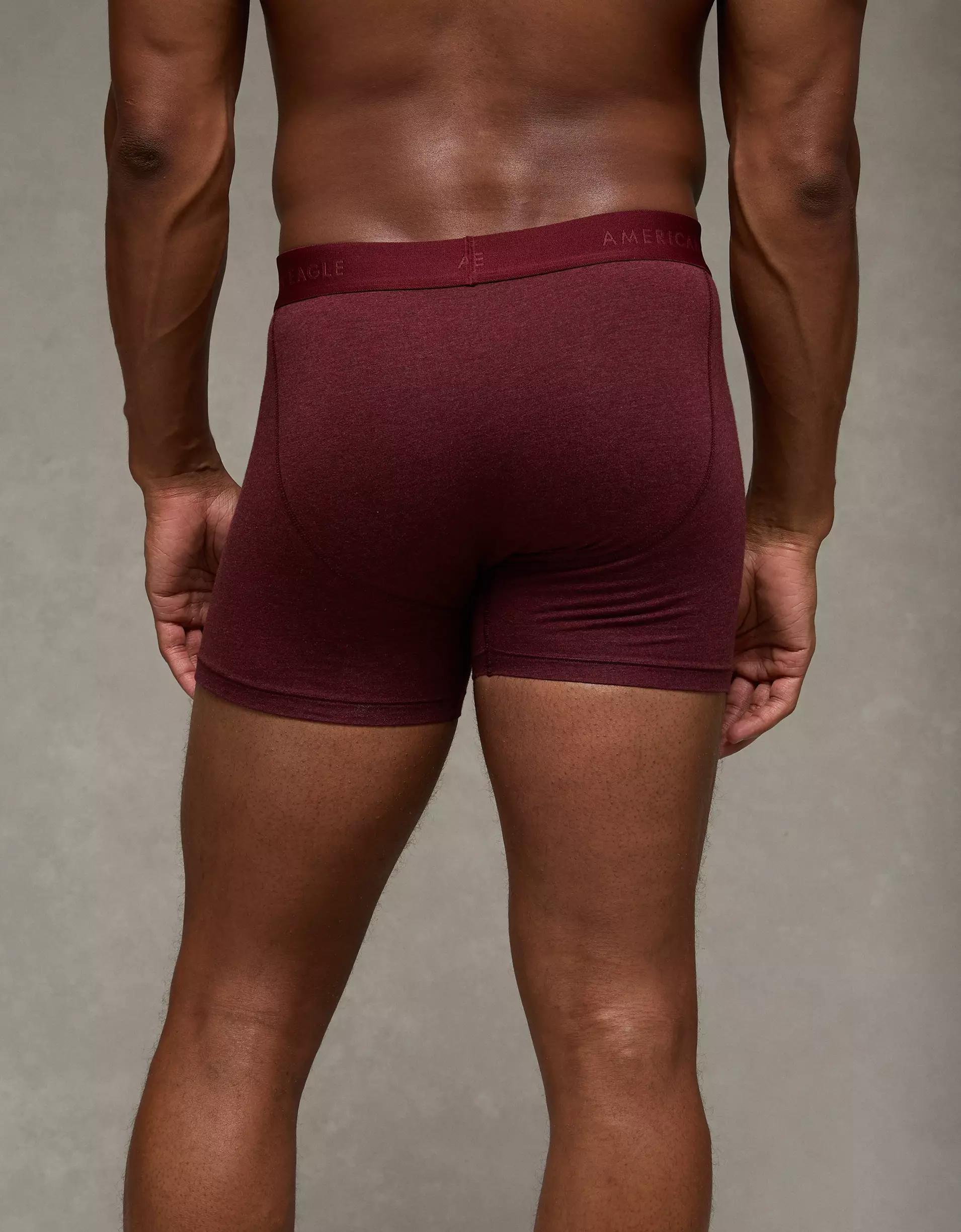 AEO Eagles 4.5" Classic Boxer Brief Product Image
