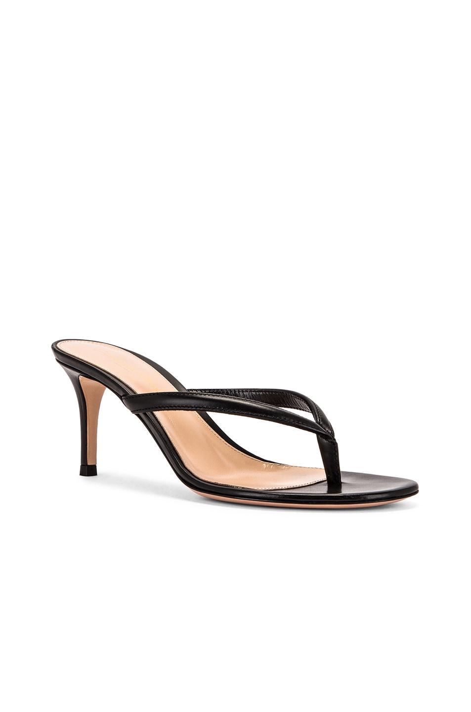 Gianvito Rossi Thong Sandals Product Image