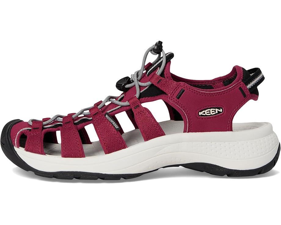 Newport H2 Product Image