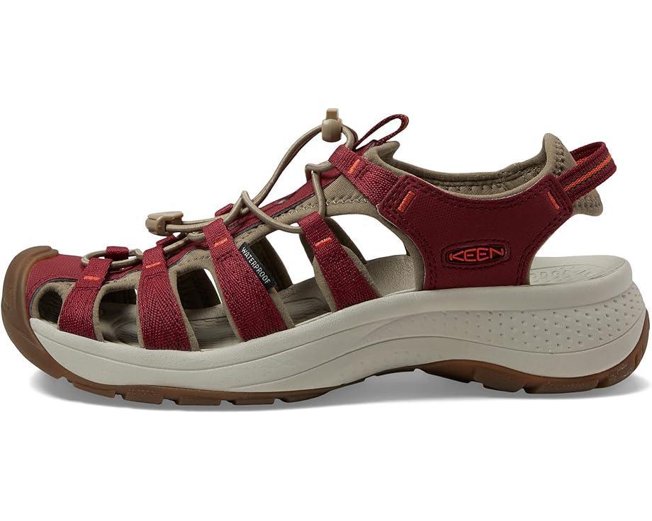 Newport H2 Product Image