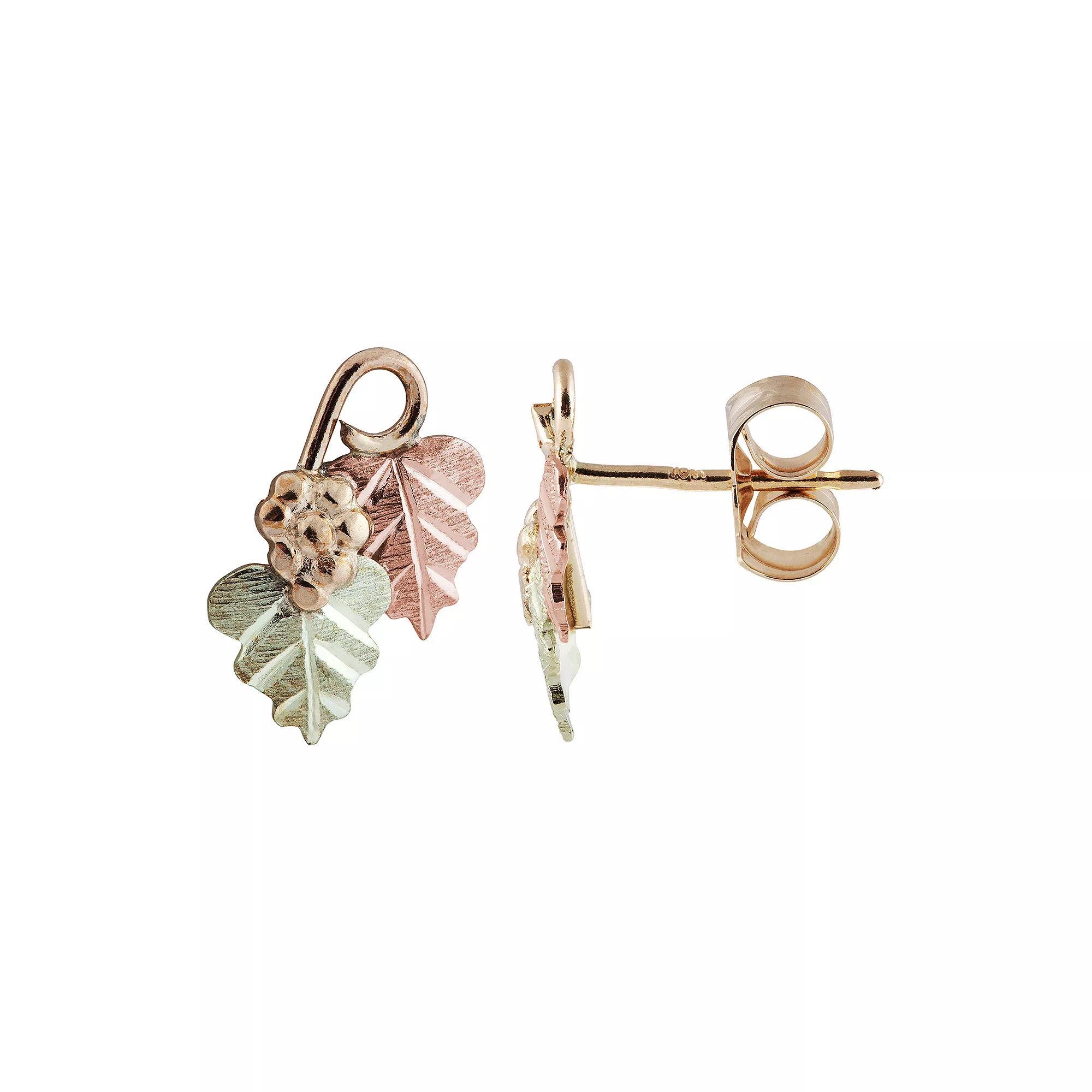 Black Hills Gold Tri-Tone Leaves & Grapes Stud Earrings, Women's Product Image