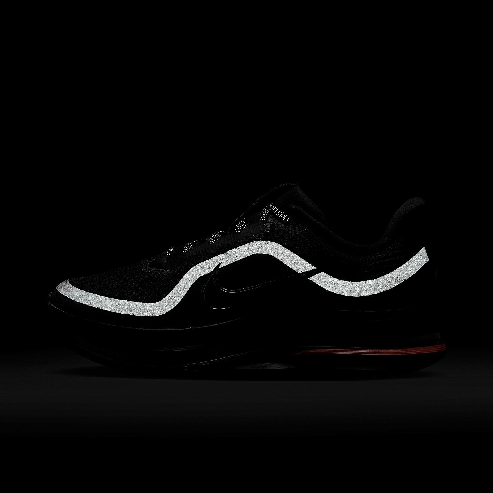 Nike Women's Pegasus Premium Road Running Shoes Product Image