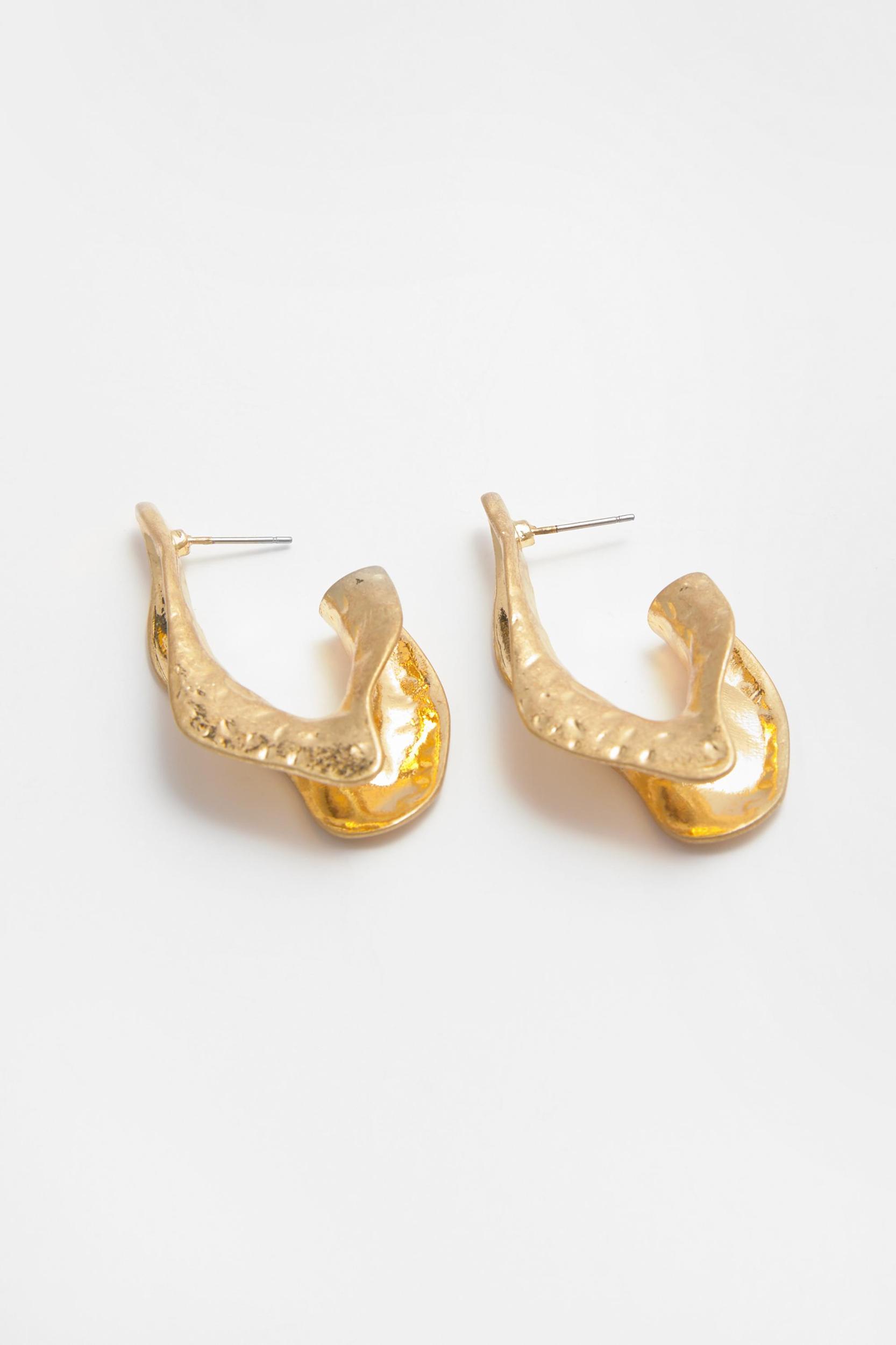 Irregular leaf earrings Product Image