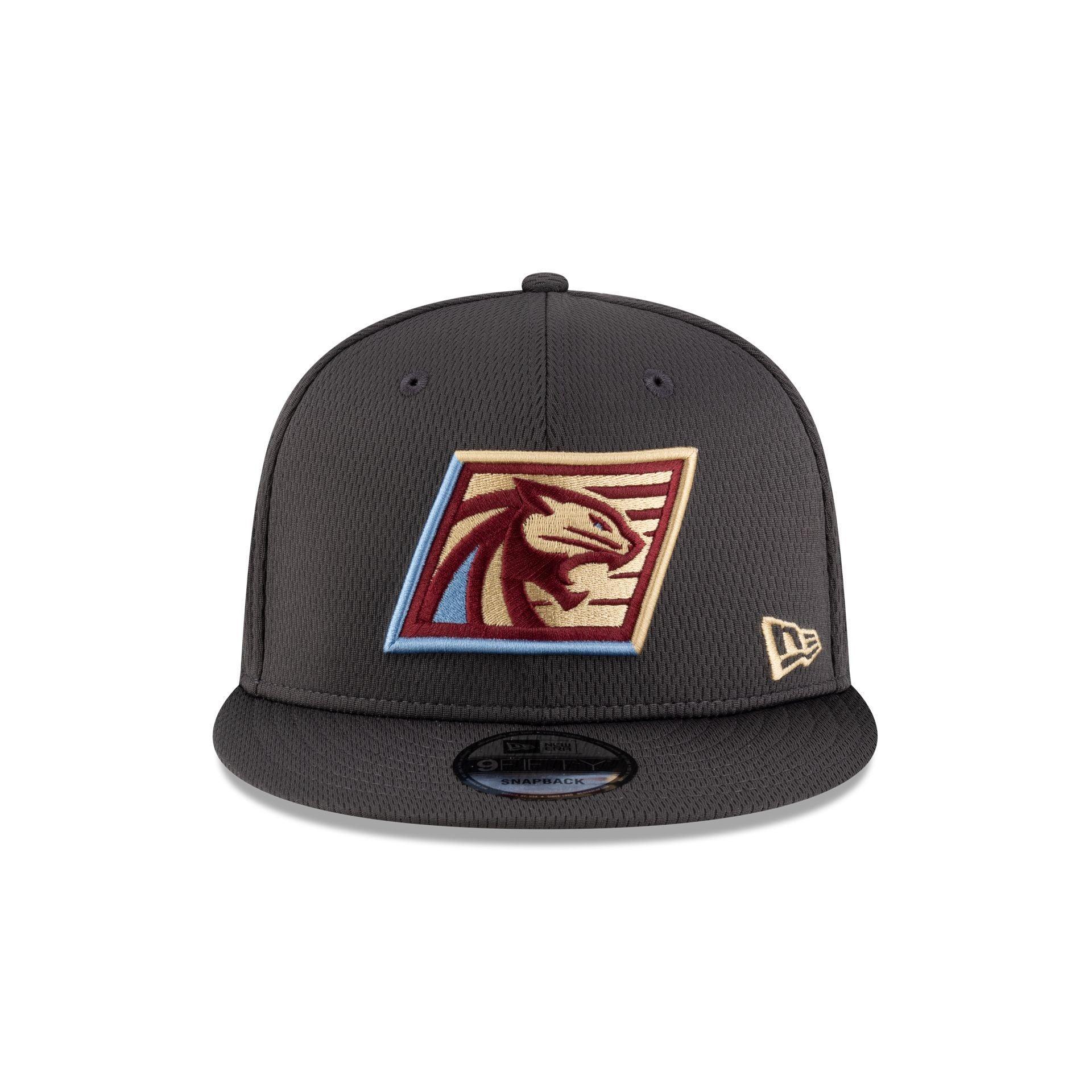 Phoenix Suns Basic 59FIFTY Fitted Hat Male Product Image