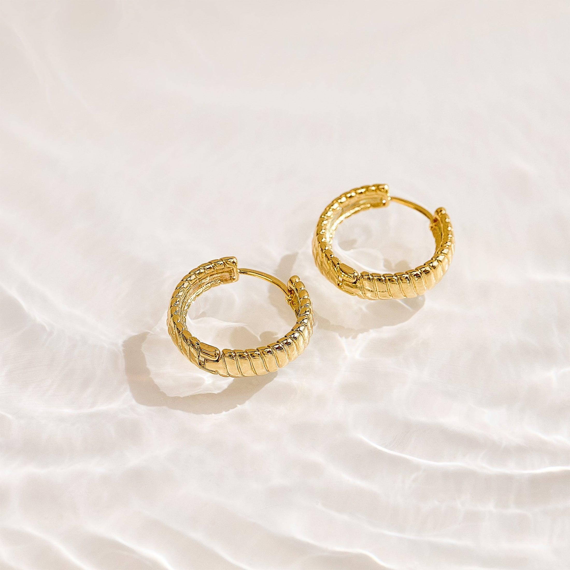 Golden Hoop Earrings Product Image