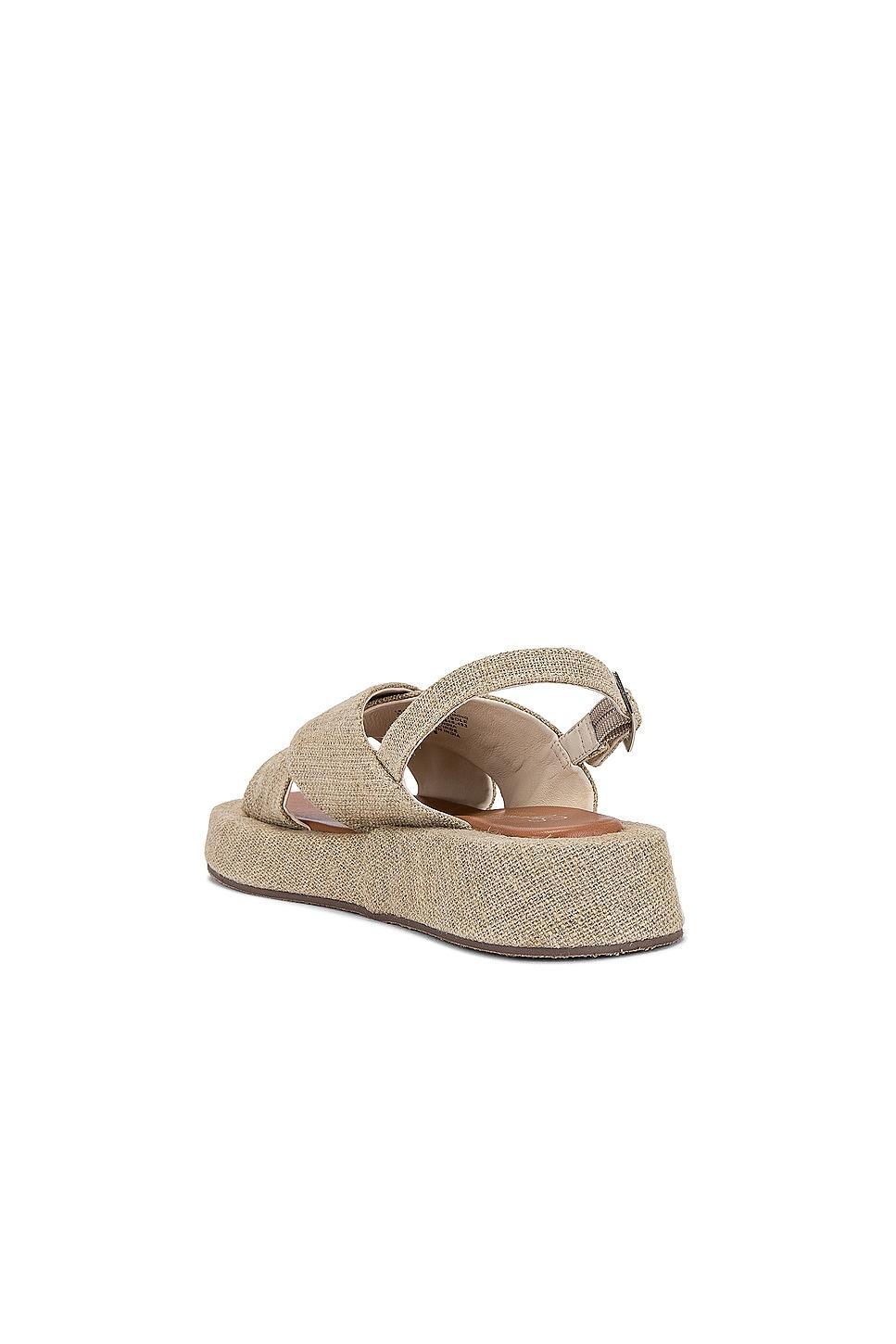 Just For Fun Sandal Seychelles Product Image