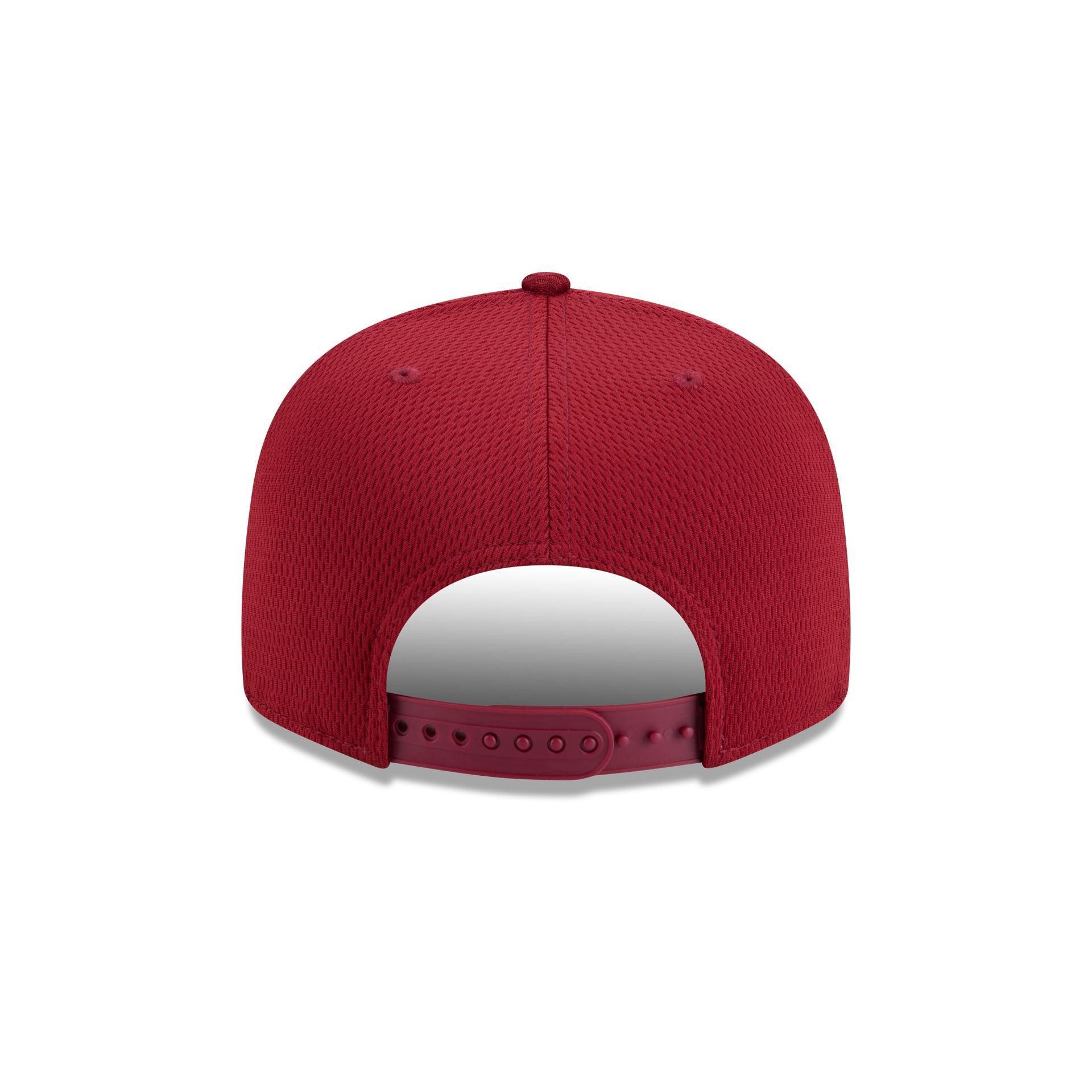 Arizona Diamondbacks 2025 Clubhouse Alt 9FIFTY Snapback Hat Male Product Image