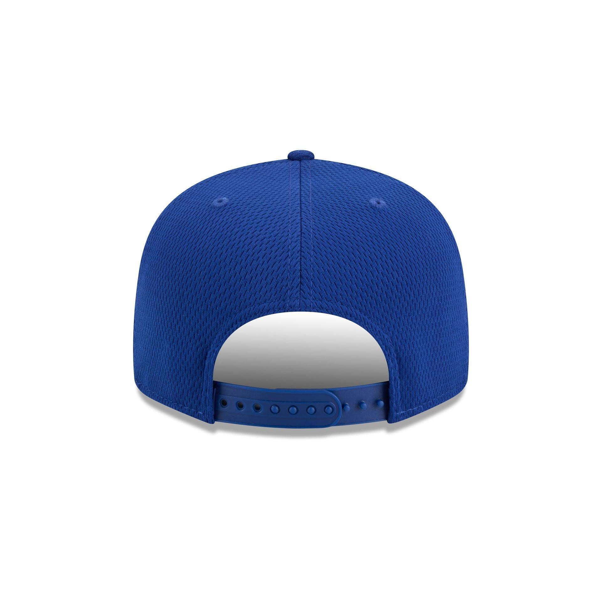 Philadelphia Phillies 2025 Batting Practice 9FIFTY Snapback Male Product Image