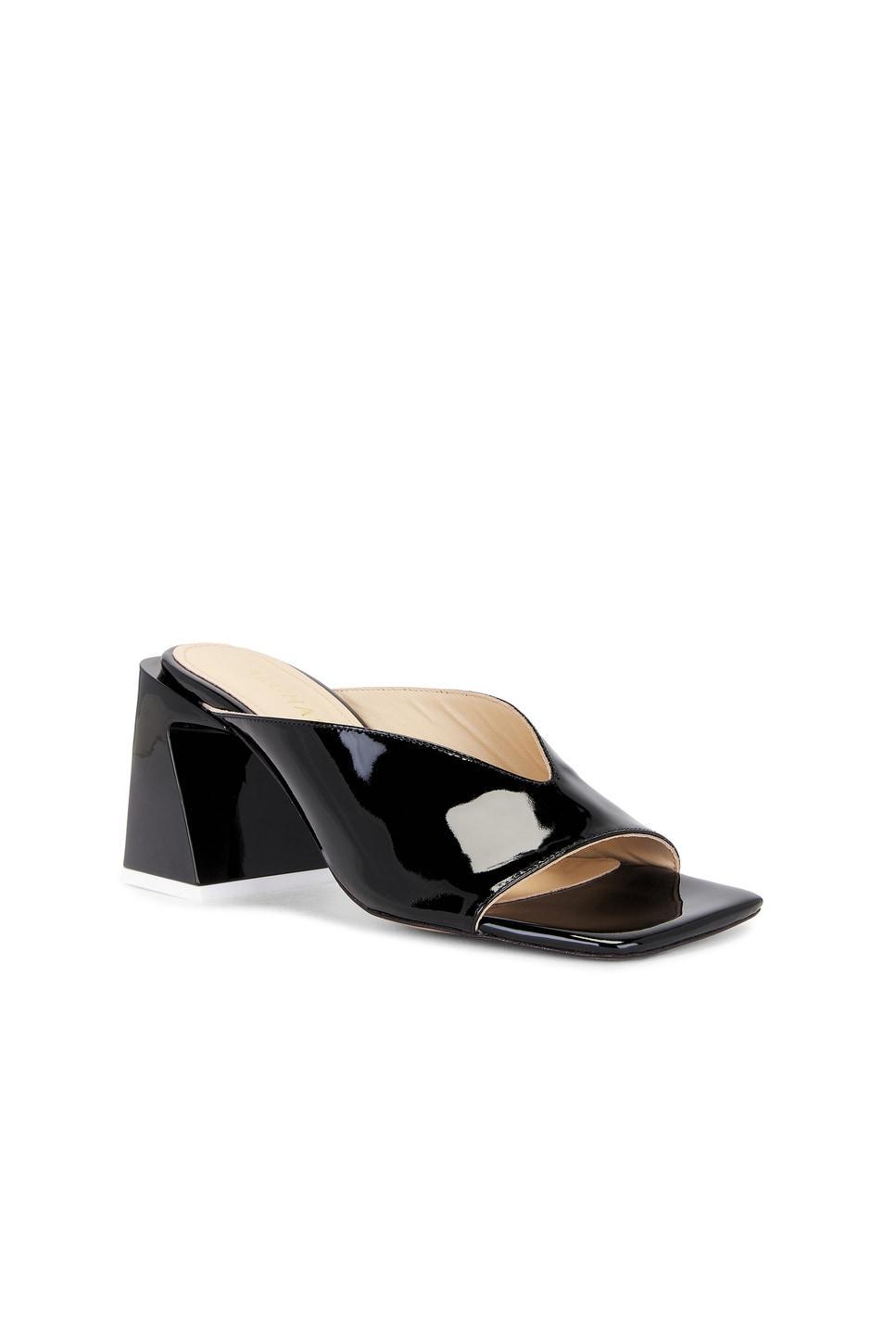 Tasha Leather Sandals ALOHAS Product Image