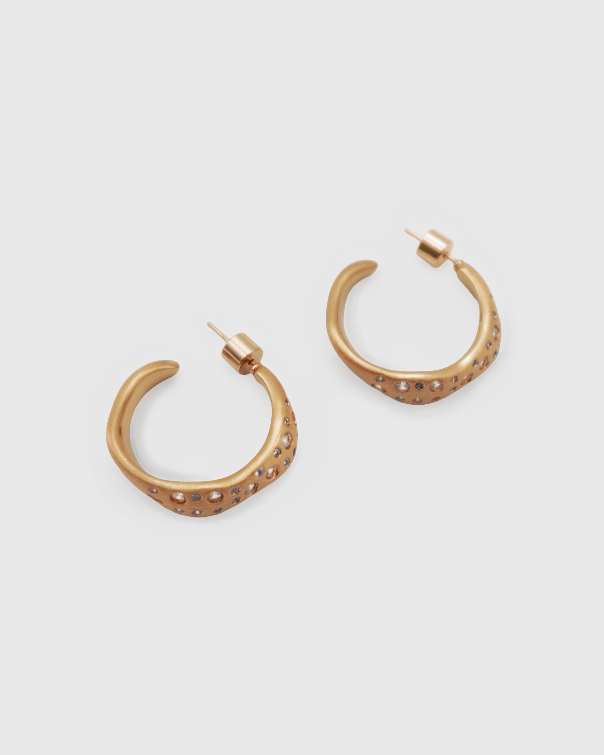 Wave earring Product Image