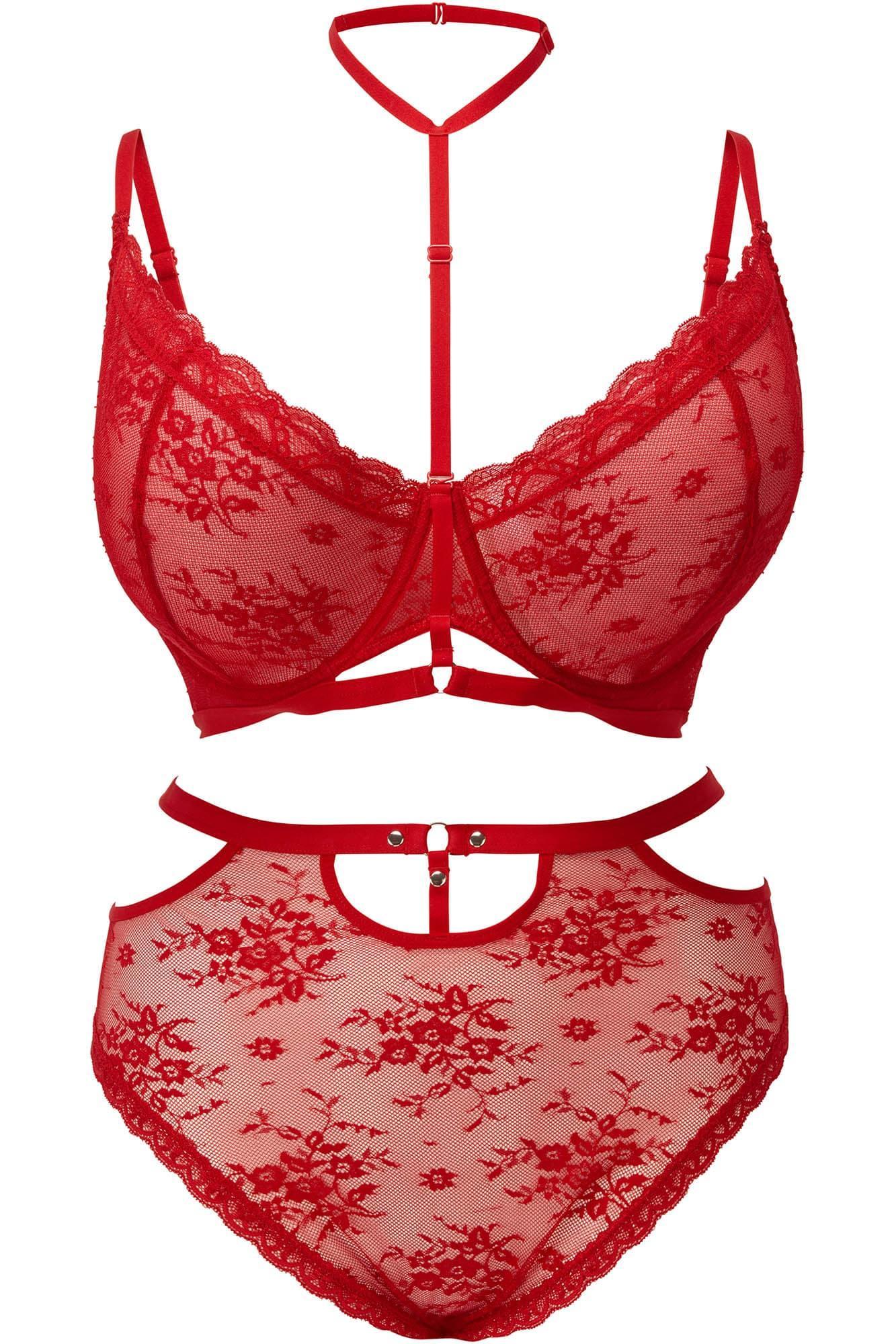 Sheer Evil Panty [SCARLET] Female Product Image