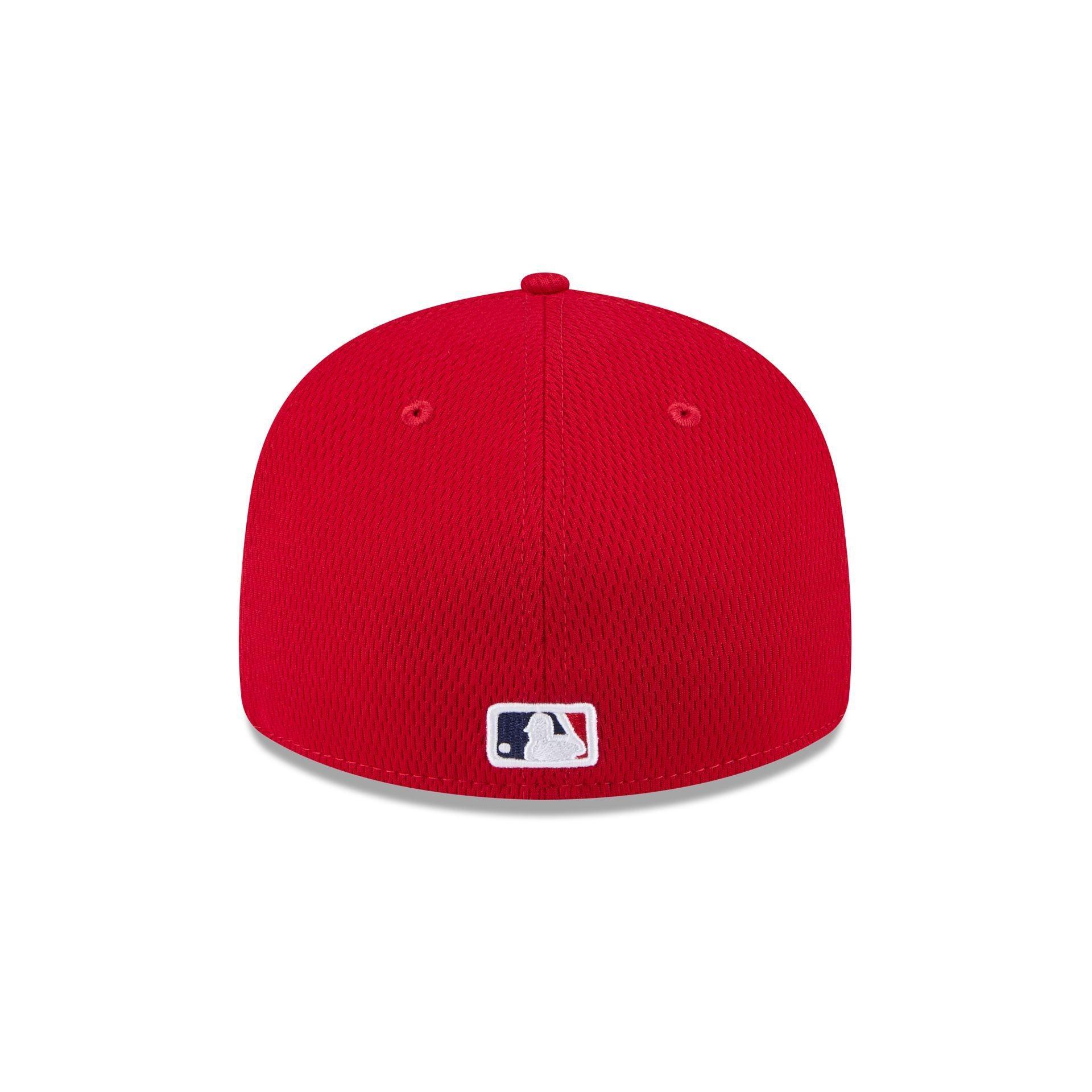 Chicago Cubs 2025 Batting Practice Low Profile 59FIFTY Fitted Male Product Image